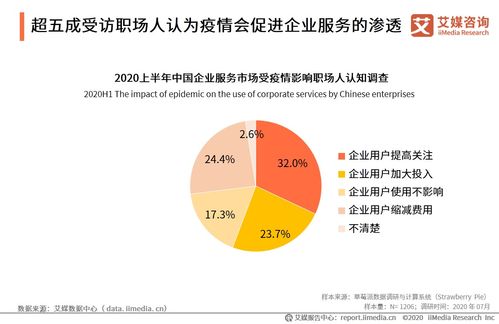 艾媒咨詢2020上半年中國企業(yè)服務(wù)發(fā)展全景報告 信息咨詢服務(wù)成為增長引擎