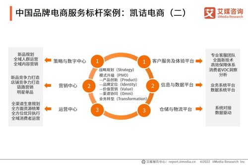 2022年中國品牌電商服務(wù)行業(yè)研究報告 信息咨詢服務(wù)深度解析